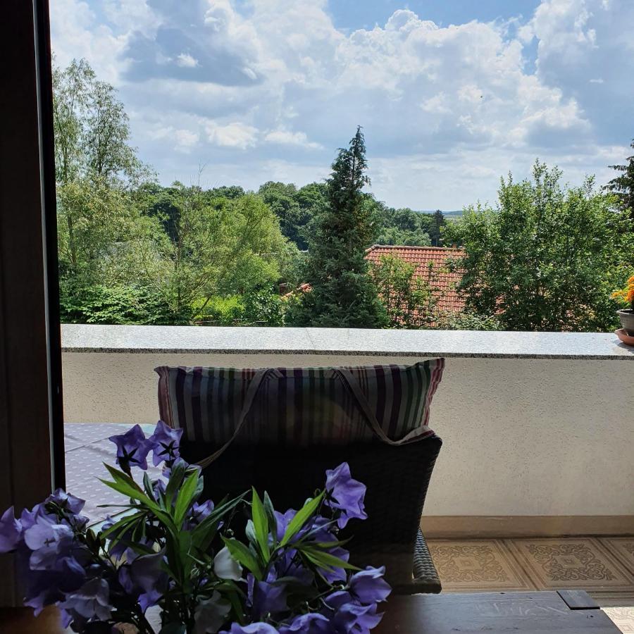 Ferienwohnung Schau ins Land Elbingerode  Exterior foto